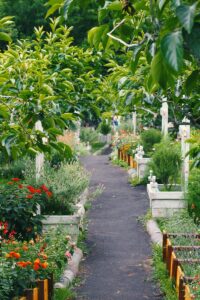 assorted-color plants