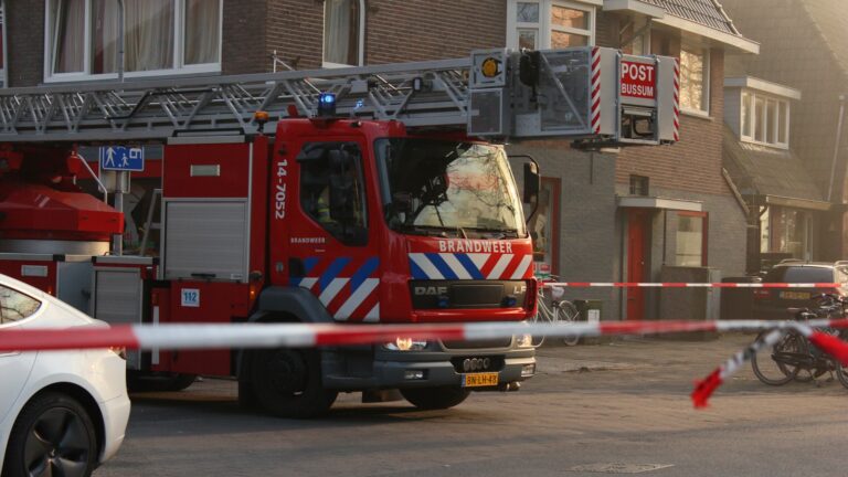 Lees meer over het artikel Koe en brandweer
