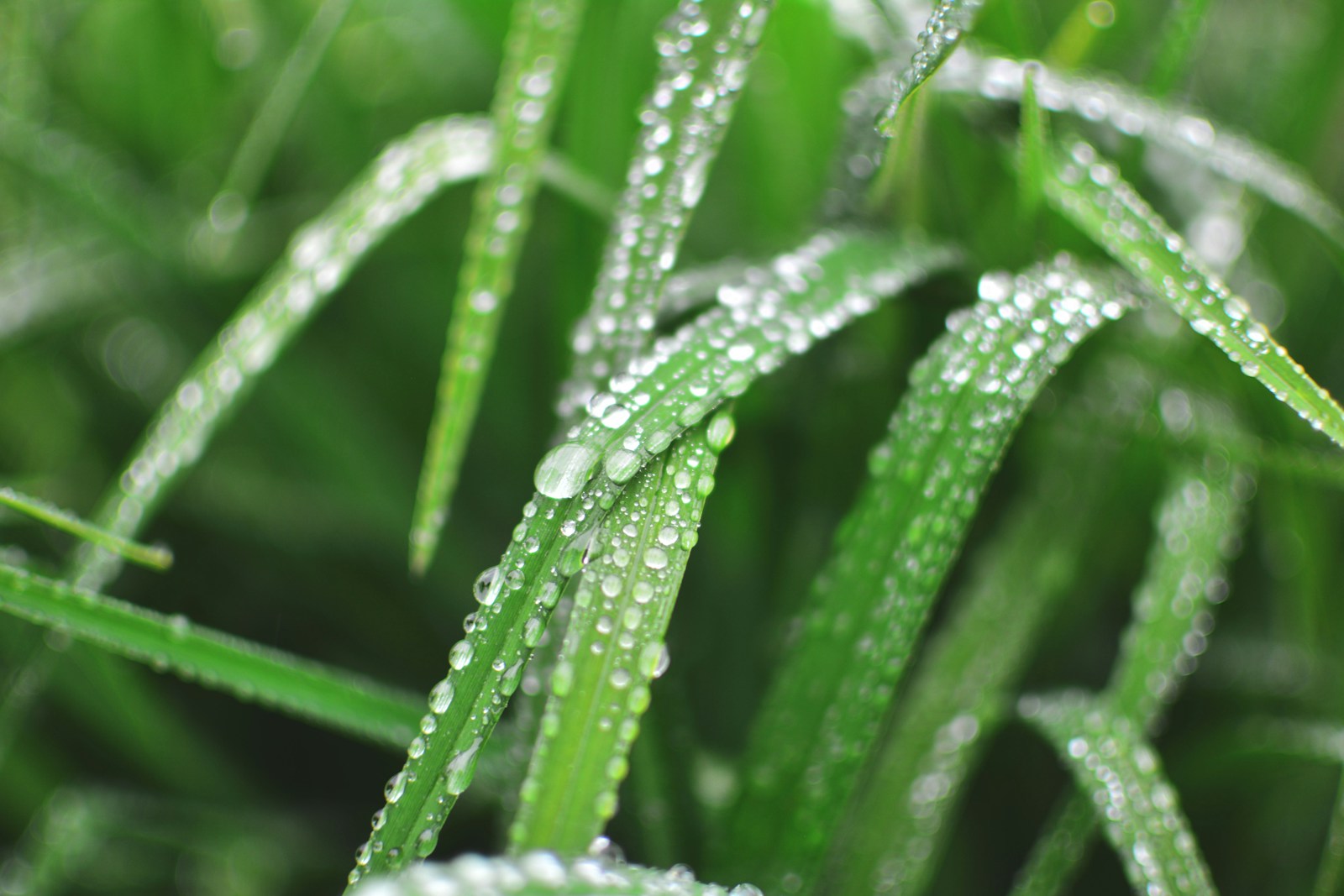 Lees meer over het artikel Winterprognose