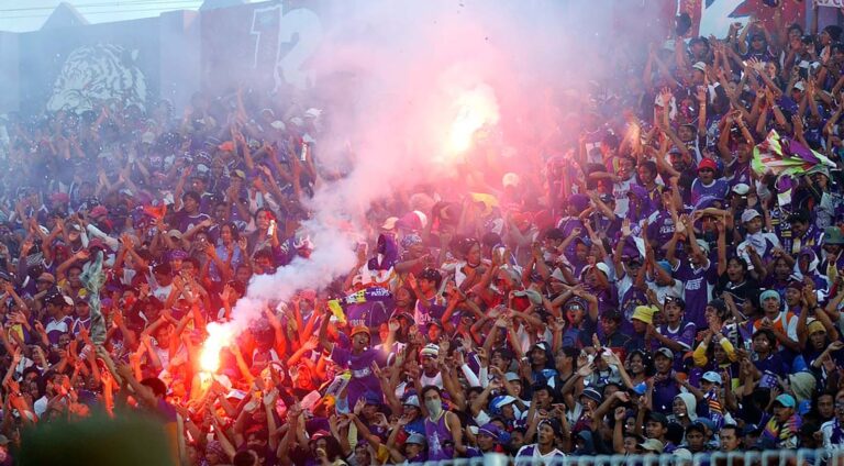 Lees meer over het artikel Hooligans