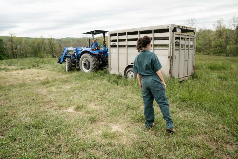 Lees meer over het artikel Boer zoekt Vrouw