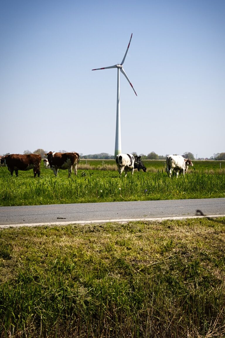 Lees meer over het artikel Docu over de Achterhoek