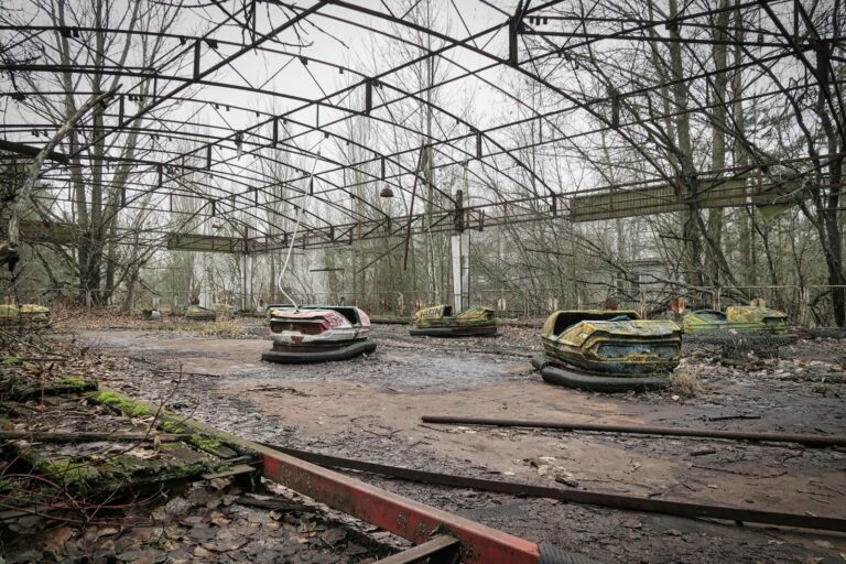 Lees meer over het artikel Troost