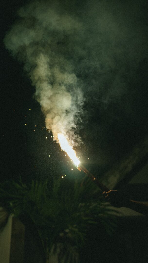 Lees meer over het artikel Gelukkig nieuw jaar