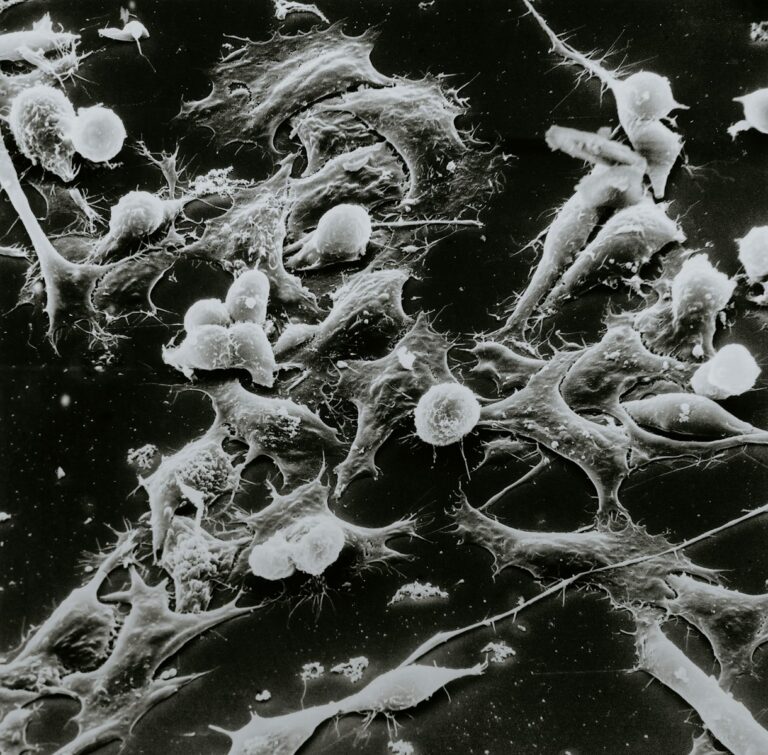 Lees meer over het artikel Vrijwiliigers