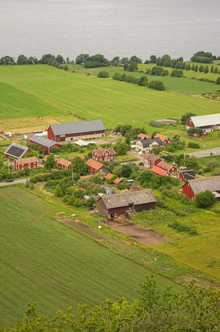 Lees meer over het artikel Boeren in Zweden