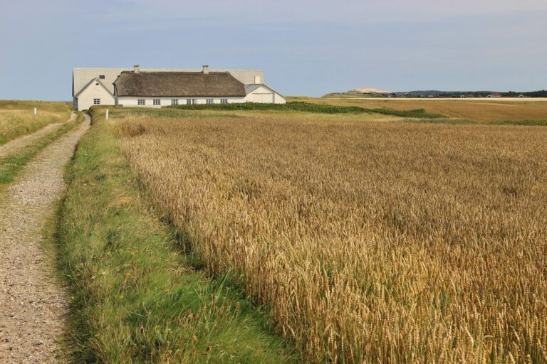 Lees meer over het artikel Op reis met boeren